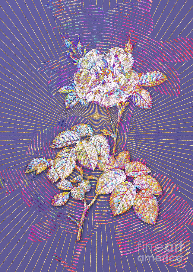 White Rose Mosaic Botanical Art on Veri Peri n.0086 Mixed Media by Holy Rock Design