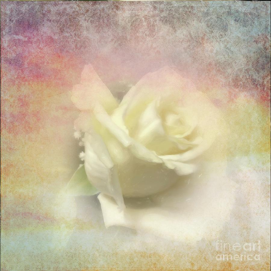 White Rose Textured Photograph by Luther Fine Art