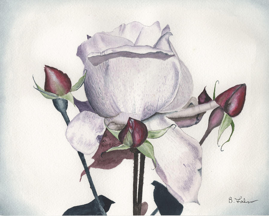 White Rose with Buds Painting by Bob Labno