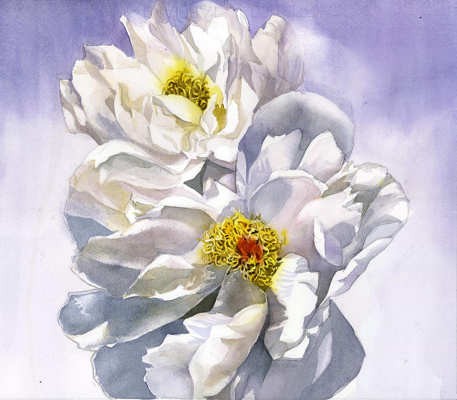 White Roses Watercolor Painting by Alfred Ng