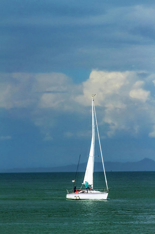 White Sailboat on San Francisco Bay Photograph by Bonnie Follett