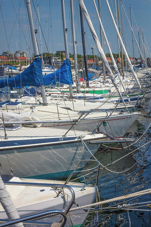 White Sailboats in the Harbor Photograph by Debra and Dave Vanderlaan