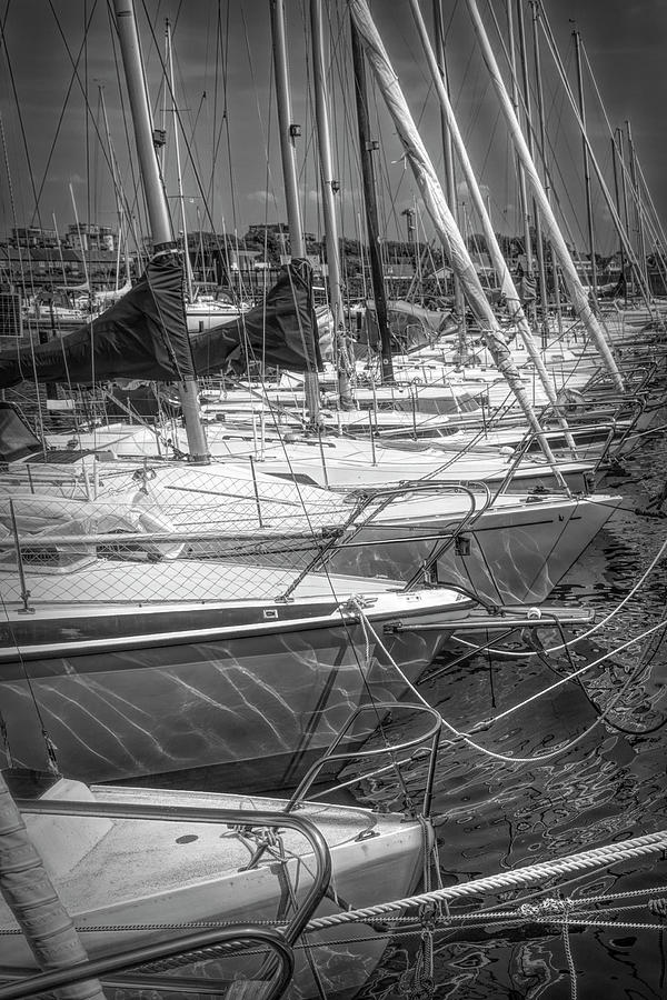 White Sailboats in the Harbor in Black and White Photograph by Debra and Dave Vanderlaan