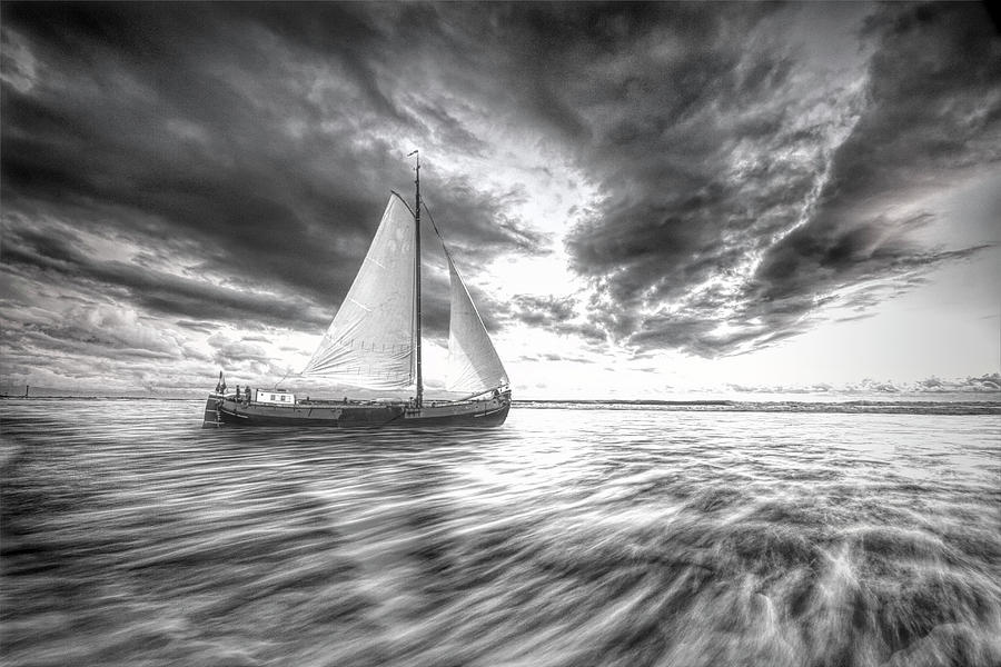 White Sails into Sunset in Black and White Photograph by Debra and Dave Vanderlaan