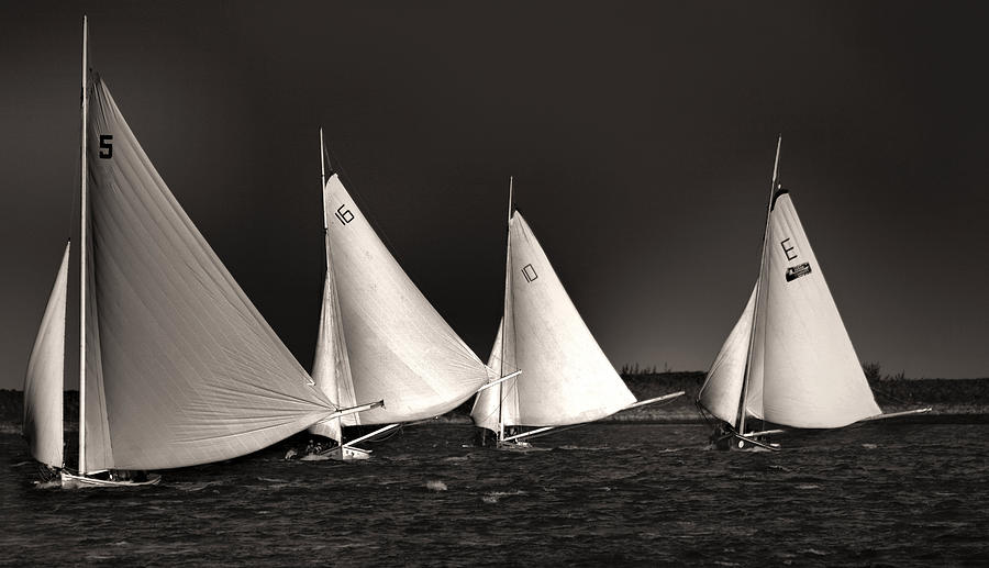White Sails Black and White Photograph by Montez Kerr