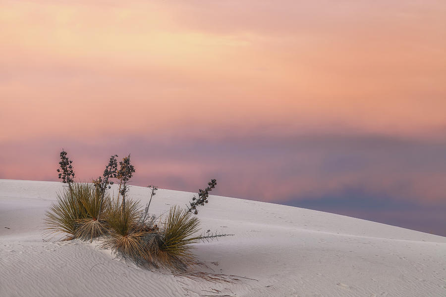 White Sand At Sunset Photograph by Jonathan Nguyen