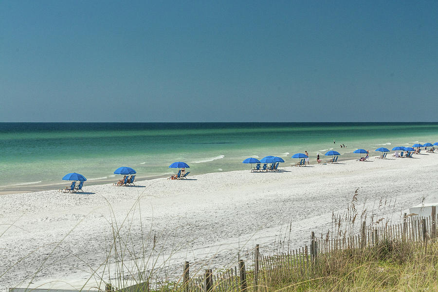 White Sand Beach With Blue Umbrellas Photograph By Bj Clayden - Fine 