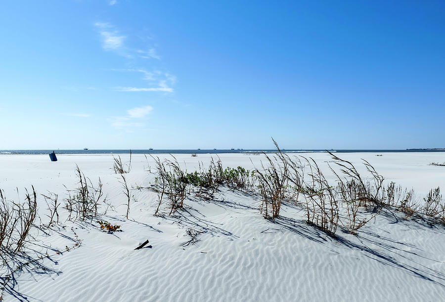 White Sand Beaches on Gulf Coast Alabama Photograph by Sandra Js