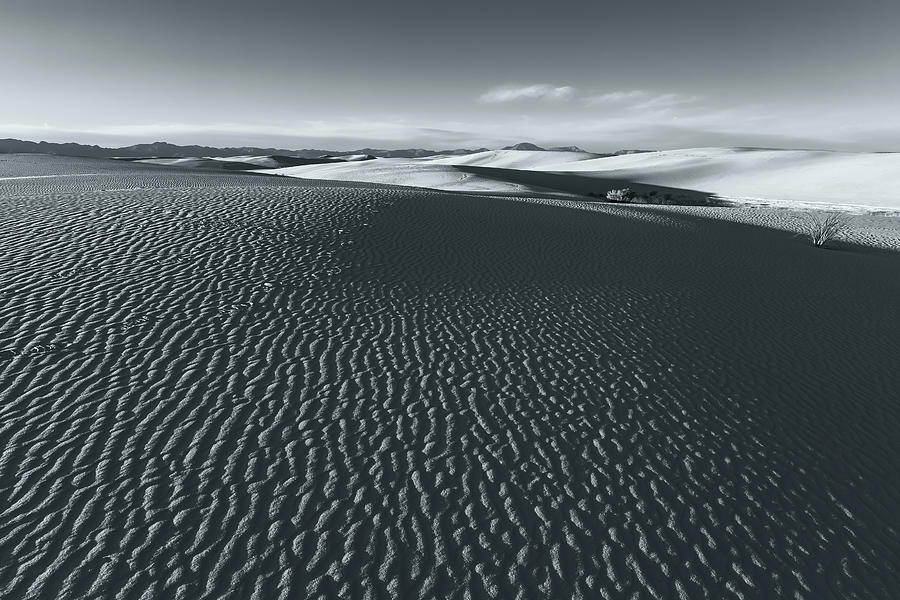 White Sand Dunes Bw  Photograph by Jonathan Nguyen