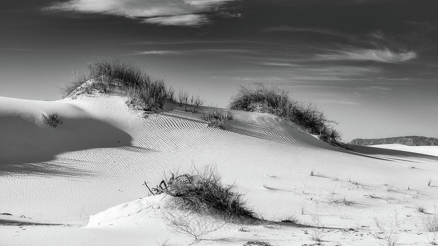 White Sand Dunes National Park Bw Photograph