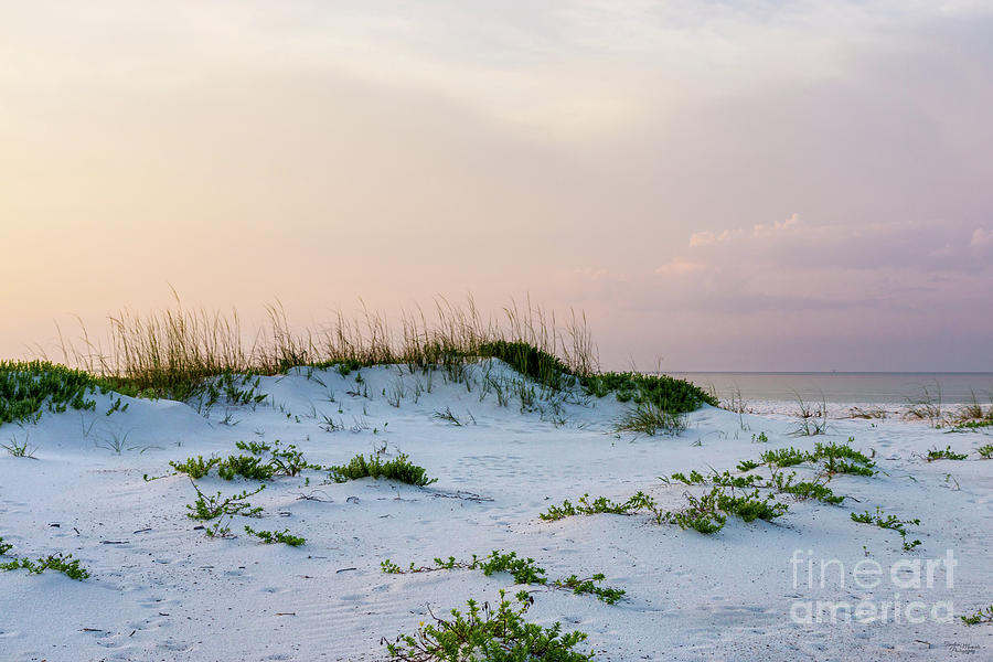 White Sand Dunes Sunrise Photograph by Jennifer White