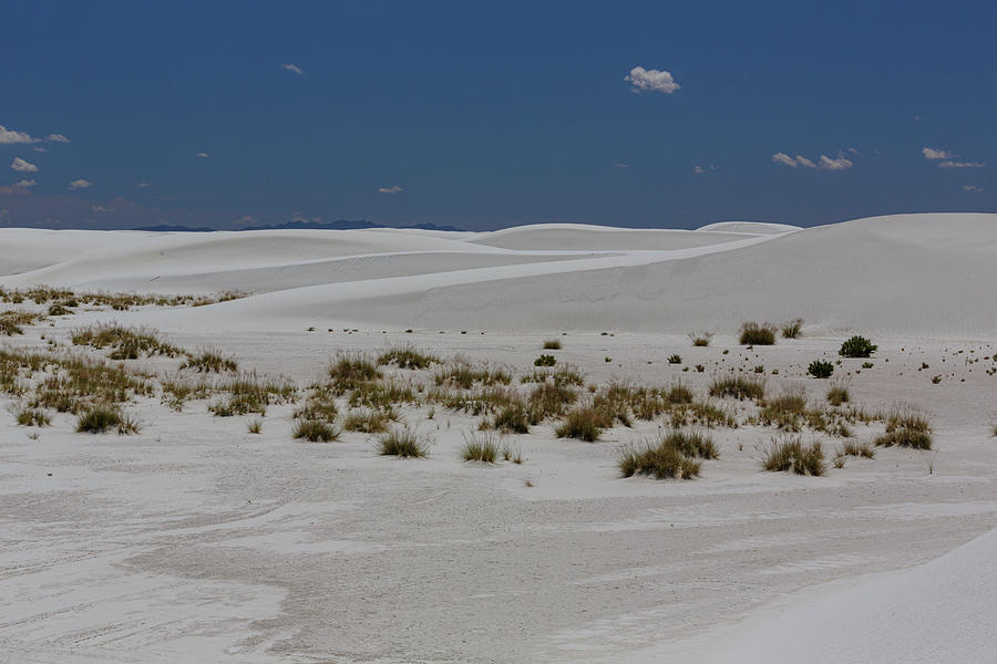 White Sands #2 Photograph by Steve Templeton
