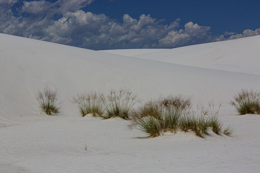 White Sands #3 Photograph by Steve Templeton