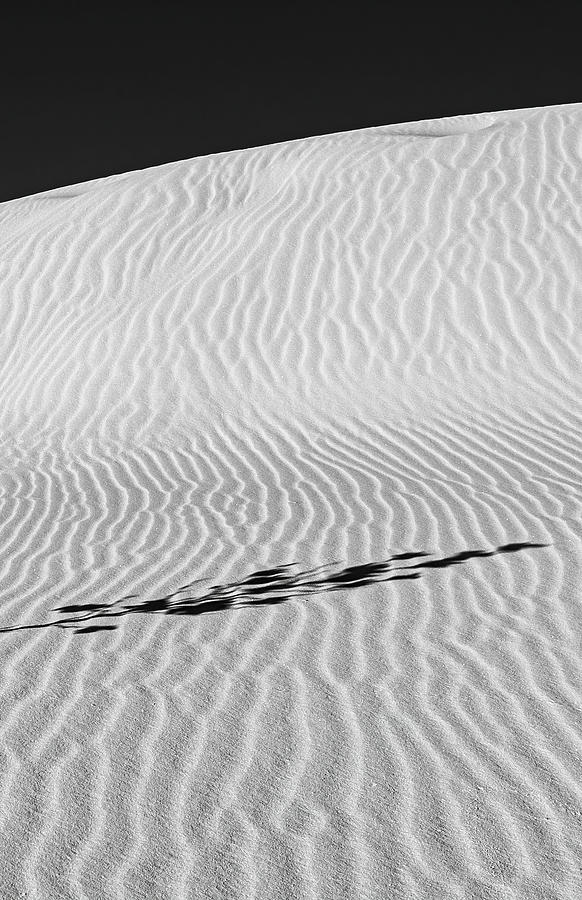 White sands #4 2 of 2 Photograph by Lou Novick