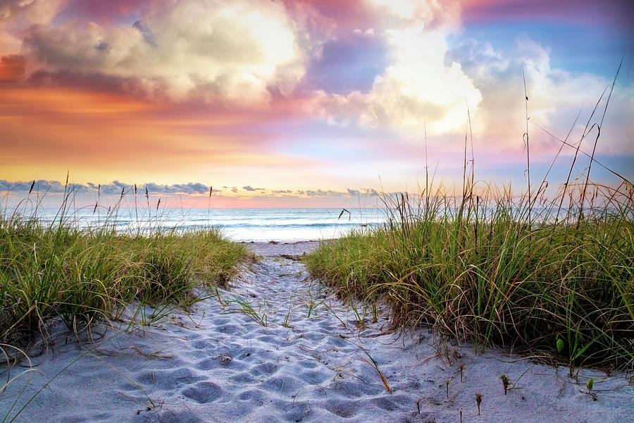 White Sands at Dawn Photograph by Debra and Dave Vanderlaan