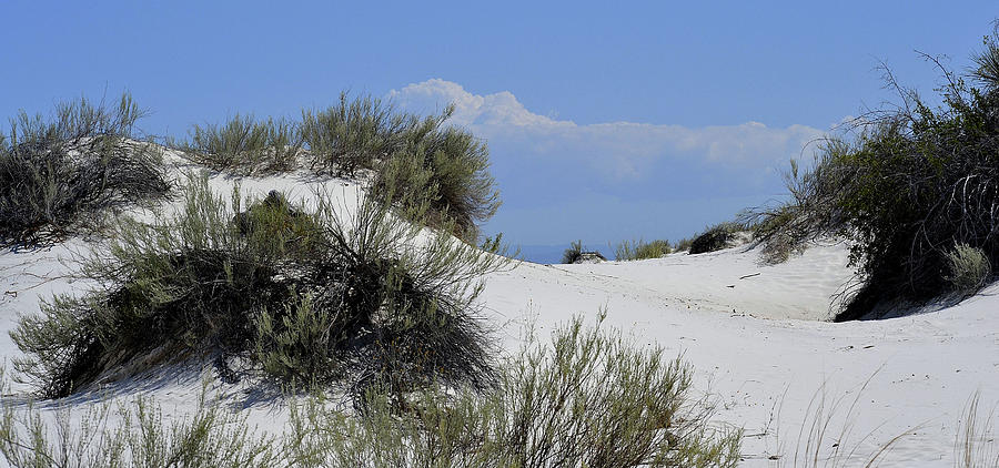 White Sands Landscape 2 Photograph by Nadalyn Larsen