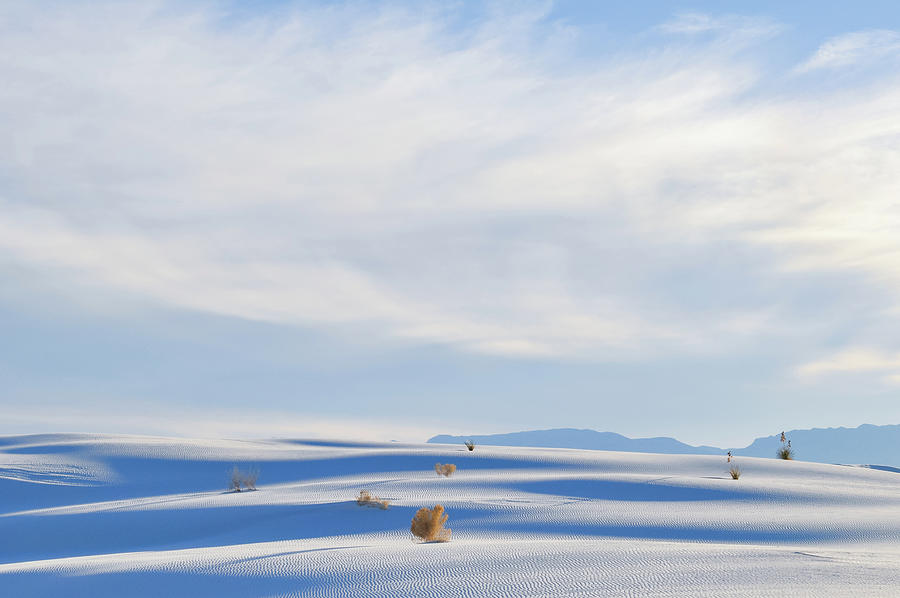 White Sands Landscape New Mexico Photograph by Kyle Hanson