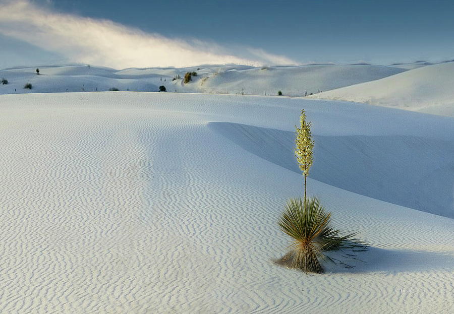 White Sands Monument - New Mexico Photograph by Russ Harris