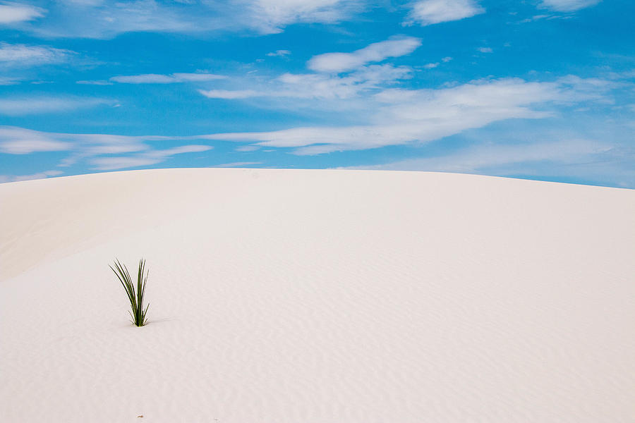 White Sands National Monument, New Mexico Photograph by Evenfh