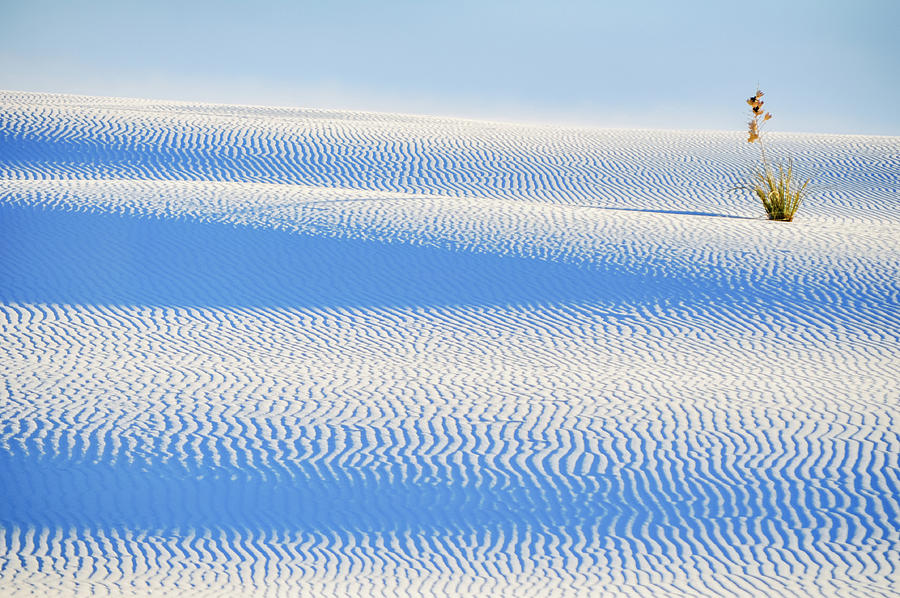 White Sands National Monument Shadows Photograph by Kyle Hanson