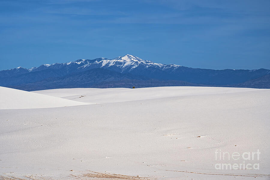 National Parks Photograph - White Sands National Park and Sierra Blanca Peak by Bob Phillips