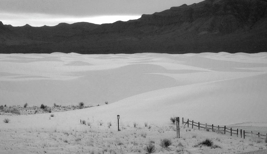 White Sands New Mexico bw Photograph by Bob Pardue