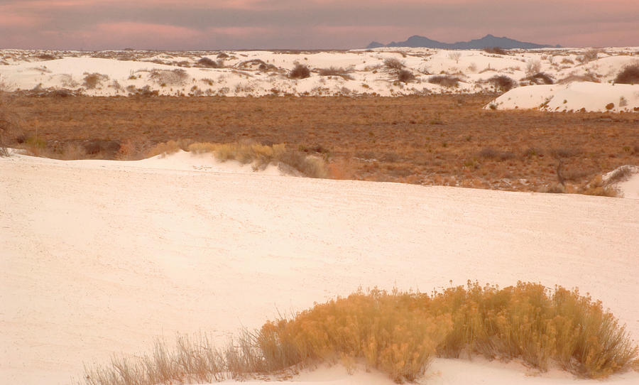 White Sands New Mexico USA Photograph by Bob Pardue