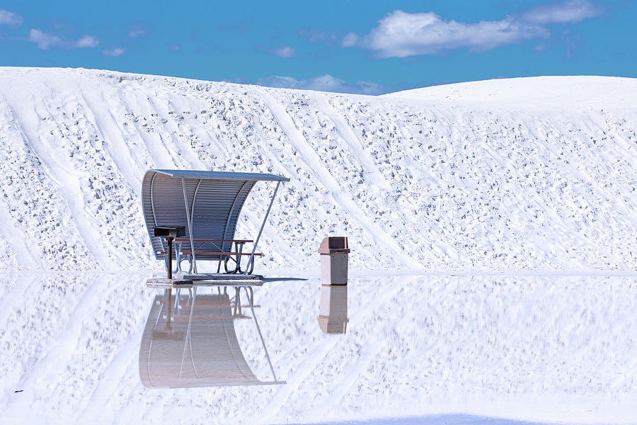 Oasis - White Sands National Park #4 Photograph by Stephen Stookey