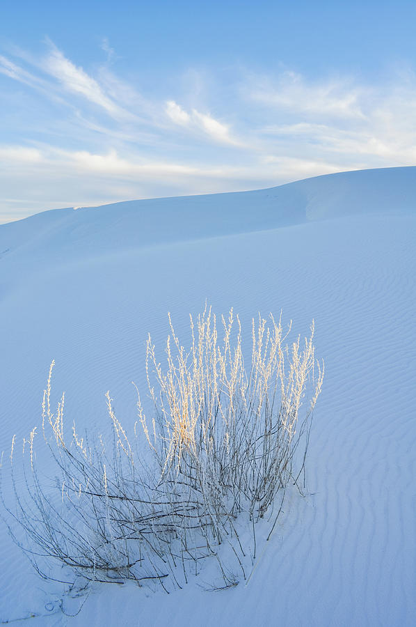 White Sands Portrait Photograph by Kyle Hanson