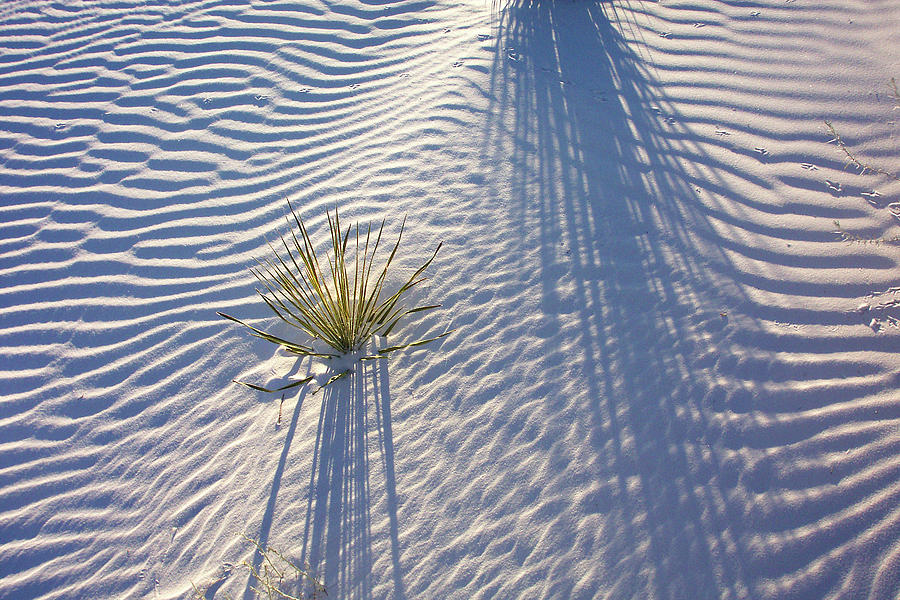White Sands Shadows Photograph by Jerry Griffin