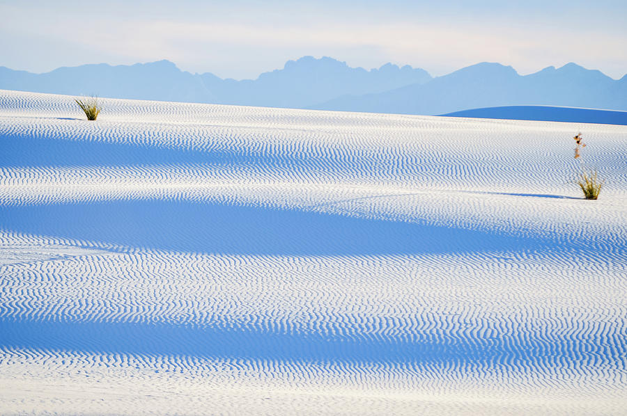 White Sands Shadows New Mexico Photograph by Kyle Hanson