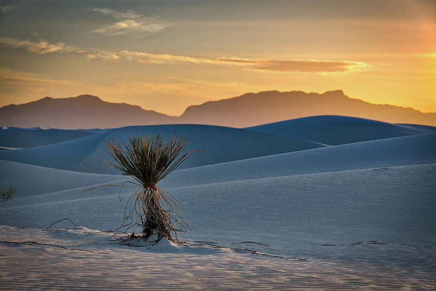 White Sands Sunset Photograph by Amber Kresge