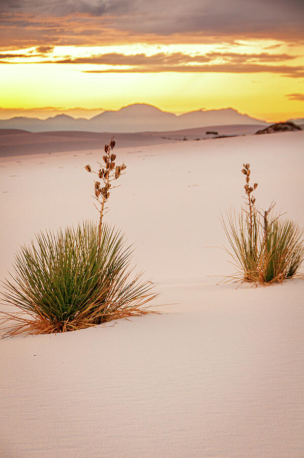 Sunset Photograph - White Sands Sunset by Preston Broadfoot