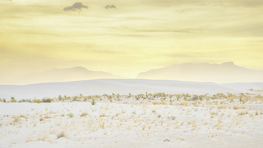 White Sands - The New Gold Photograph by Alexander Kunz