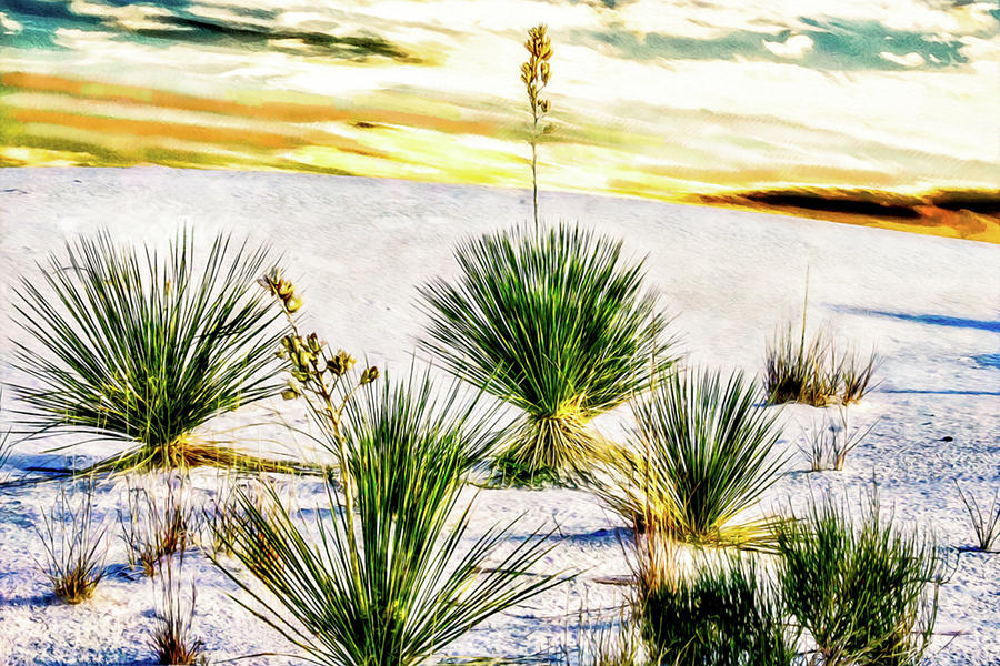 White Sands Vista 48x32 Photograph by Randy Jackson
