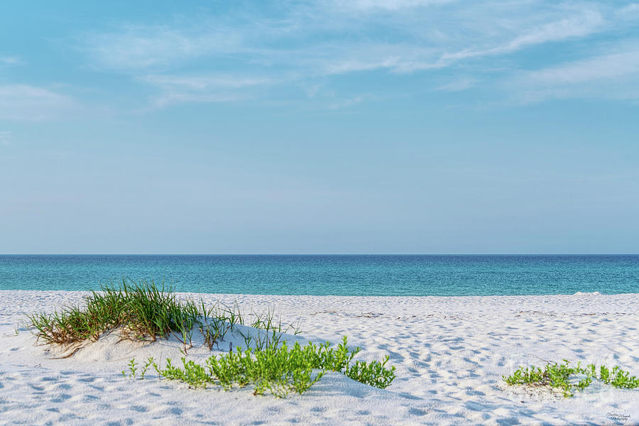 White Sandy Beach Florida Coastline Photograph by Jennifer White