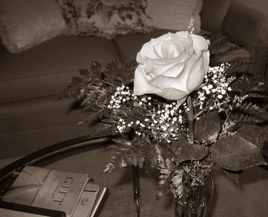 White Sepia Rose  Photograph by Connie Fox