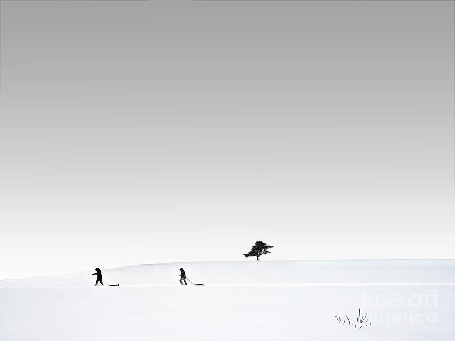White Silence Photograph by Tatiana Bogracheva