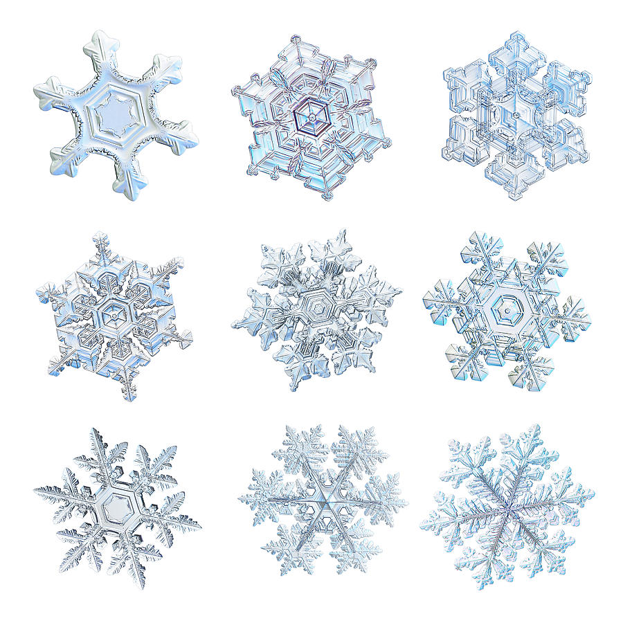 White snowflake collage - 2021-11-08 Photograph by Alexey Kljatov