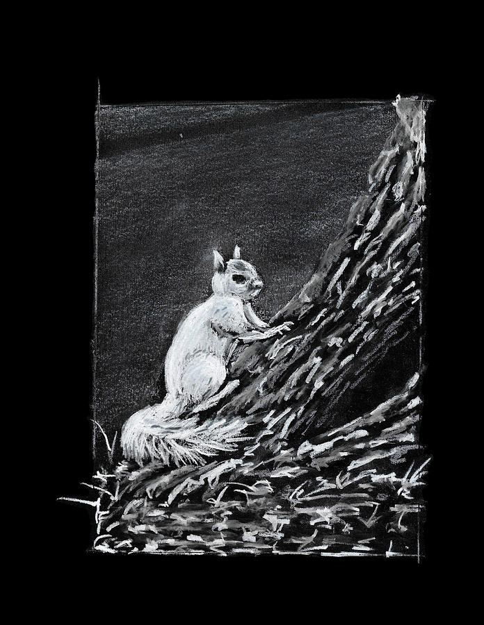 White Squirrel with a Grey Patch Painting by Thomas Hamm
