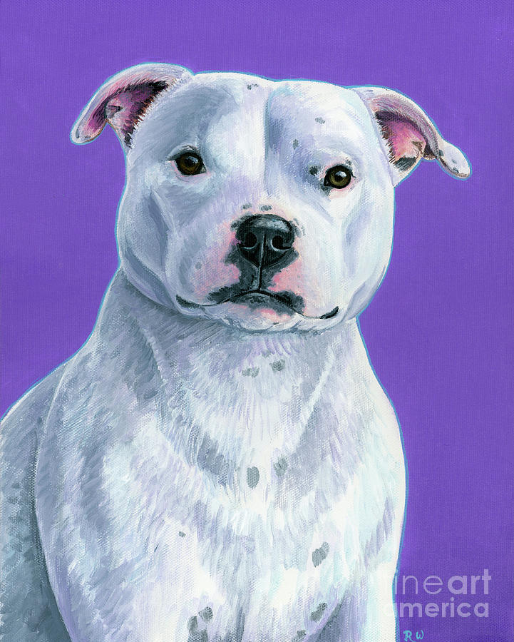 White Staffordshire Bull Terrier Dog Painting by Rebecca Wang