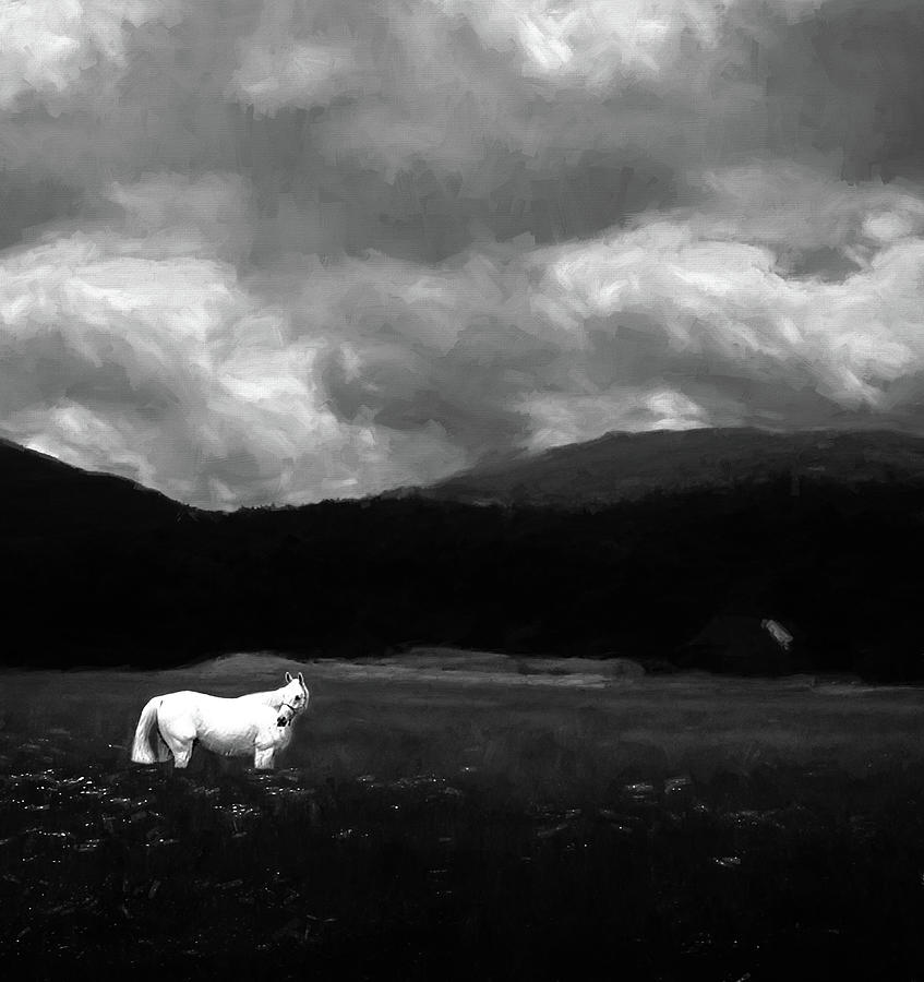 White Stallion in a Monochrome Dreamscape Photograph by Wayne King