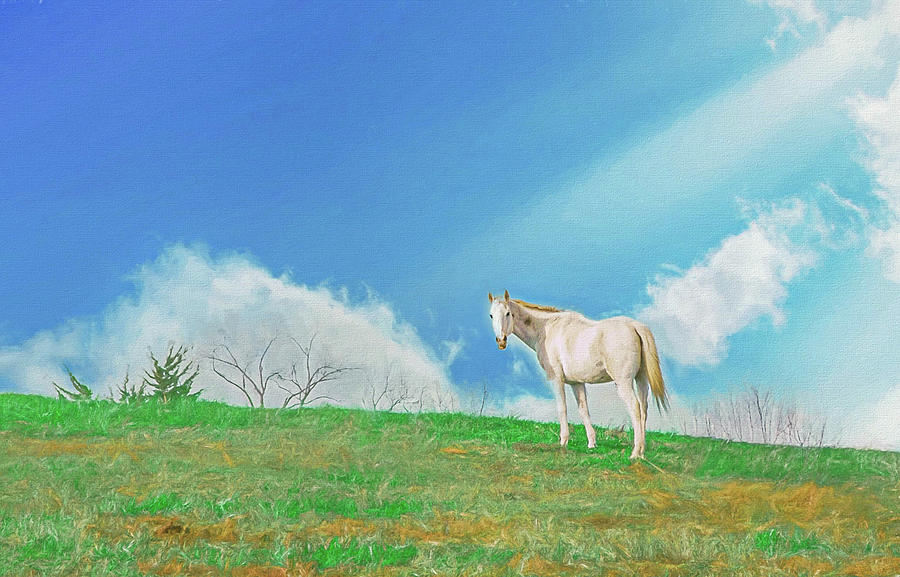 White Stallion Digital Art by Kevin Lane