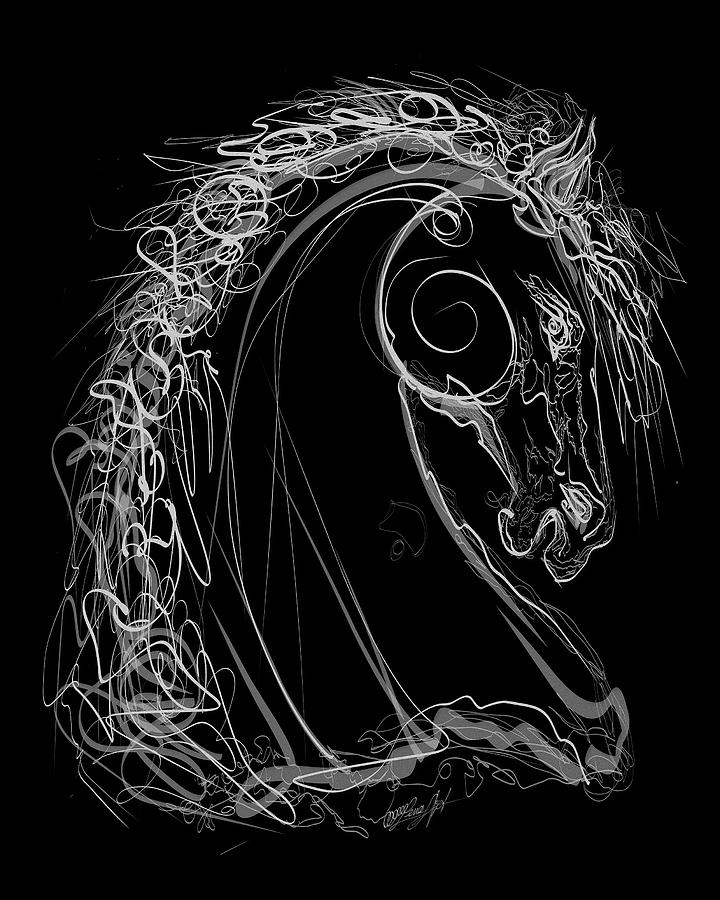 White Stallion Line Drawing Black background  Drawing by Lena Owens - OLena Art Vibrant Palette Knife and Graphic Design
