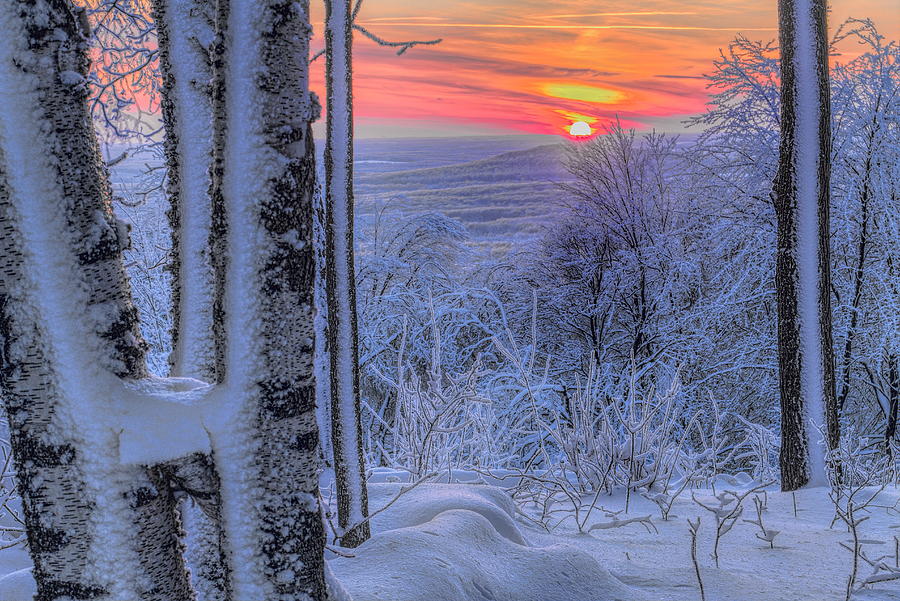 White Sun Setting On A White Landscape Photograph by Dale Kauzlaric