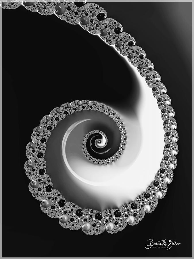 White Swirl on Black Photograph by Barbara Zahno