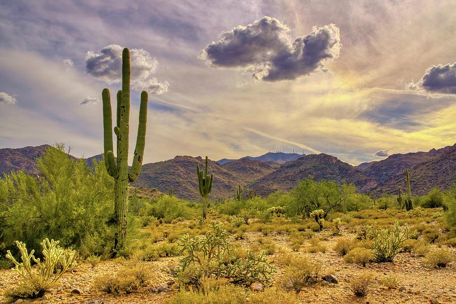 White Tank Mountain Scenes Near Phoenix Arizona Photograph by Kenneth Roberts
