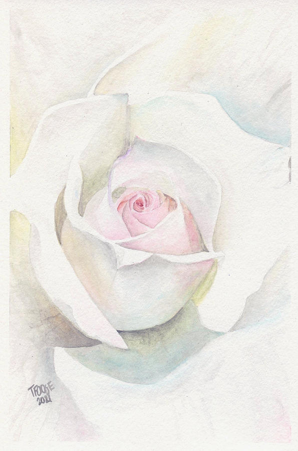 Rose Buds in the Garden Painting by Carlin Blahnik CarlinArtWatercolor -  Fine Art America