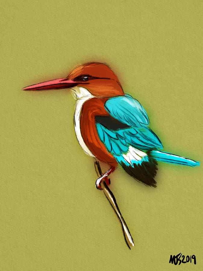 White Throated Kingfisher Digital Art by Michael Kallstrom