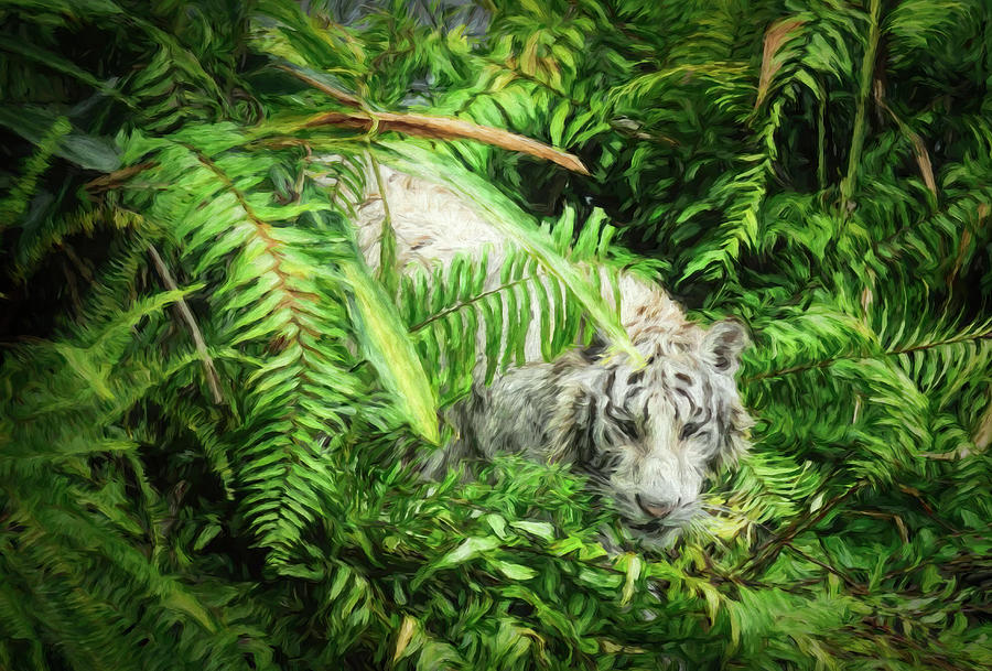 White Tiger Among Ferns Photograph by Ginger Stein